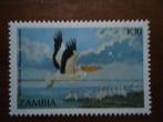 Vogel pelikaan Zambia 1987, mi. 407 postfris, Ophalen of Verzenden, Dier of Natuur, Postfris