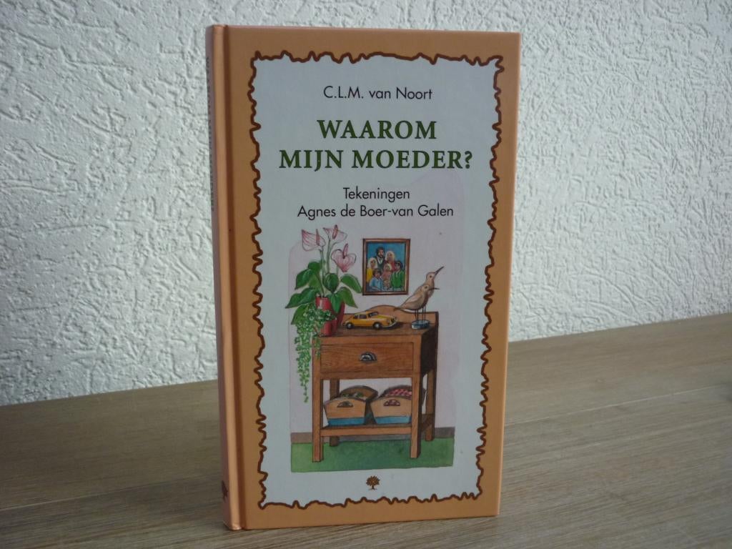 - Boek 1: C.L.M. van Noort - Waarom mijn moeder?, Boeken, Godsdienst en Theologie, Ophalen of Verzenden, Gelezen, Christendom | Protestants