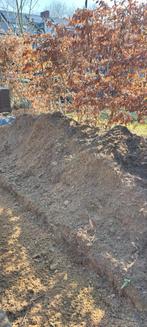 Tuingrond gratis af te halen, Tuin en Terras, Planten | Bomen, Ophalen, Halfschaduw, Overige soorten, 100 tot 250 cm