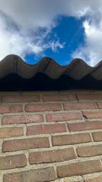 Kunststof vogelschroot, Minder dan 25 mm, Overige typen, Nieuw, Ophalen of Verzenden