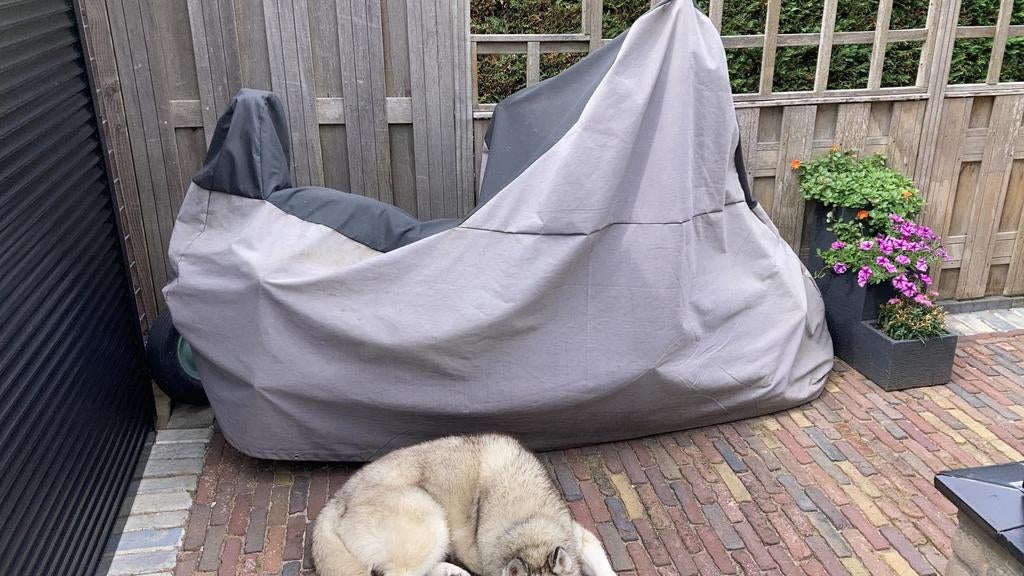Leuke oude honda schadow leuk voor de zomer, Ophalen of Verzenden