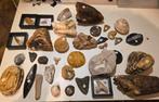 Groot lot fossielen ,haaientanden, mammoet kies,megalodon,.., Ophalen of Verzenden, Fossiel