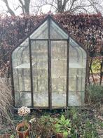 Kweekkas / Broeikas, Gebruikt, Kweekkas, Glas, Ophalen