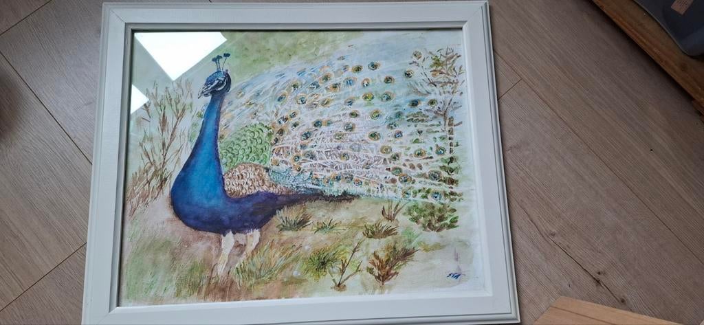 Schilderij/aquarel  pauw, Huis en Inrichting, Ophalen of Verzenden, 50 tot 75 cm, Schilderij, 50 tot 75 cm