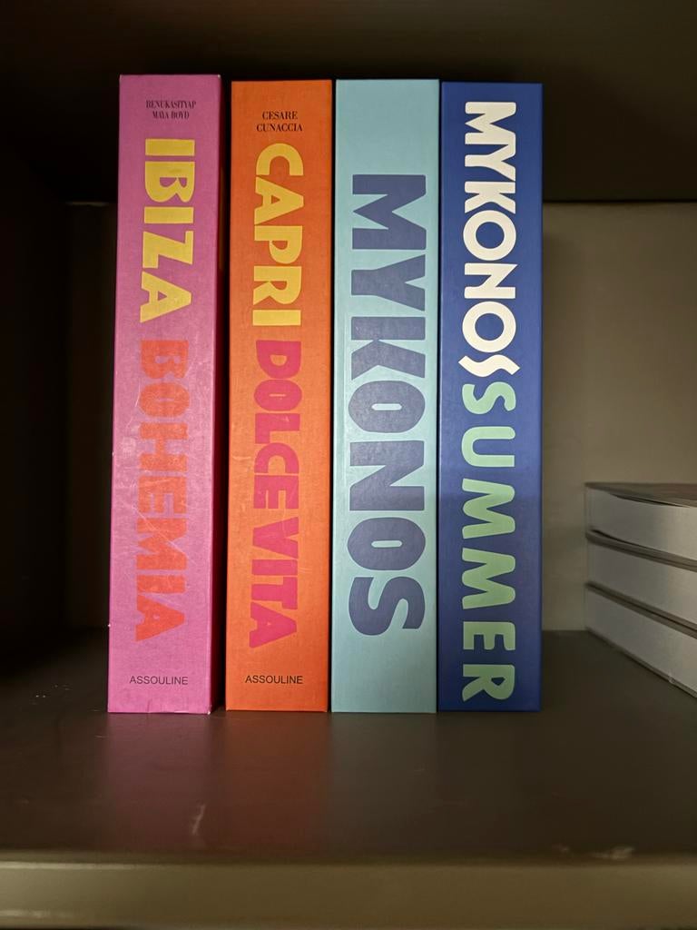 Set van 4 decoratieve opbergboxen - Boekdummies, Huis en Inrichting, Meerkleurig, Ophalen of Verzenden, Zo goed als nieuw, Modern
