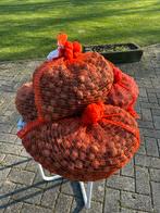 Walnoten 2025, Diversen, Levensmiddelen, Ophalen of Verzenden