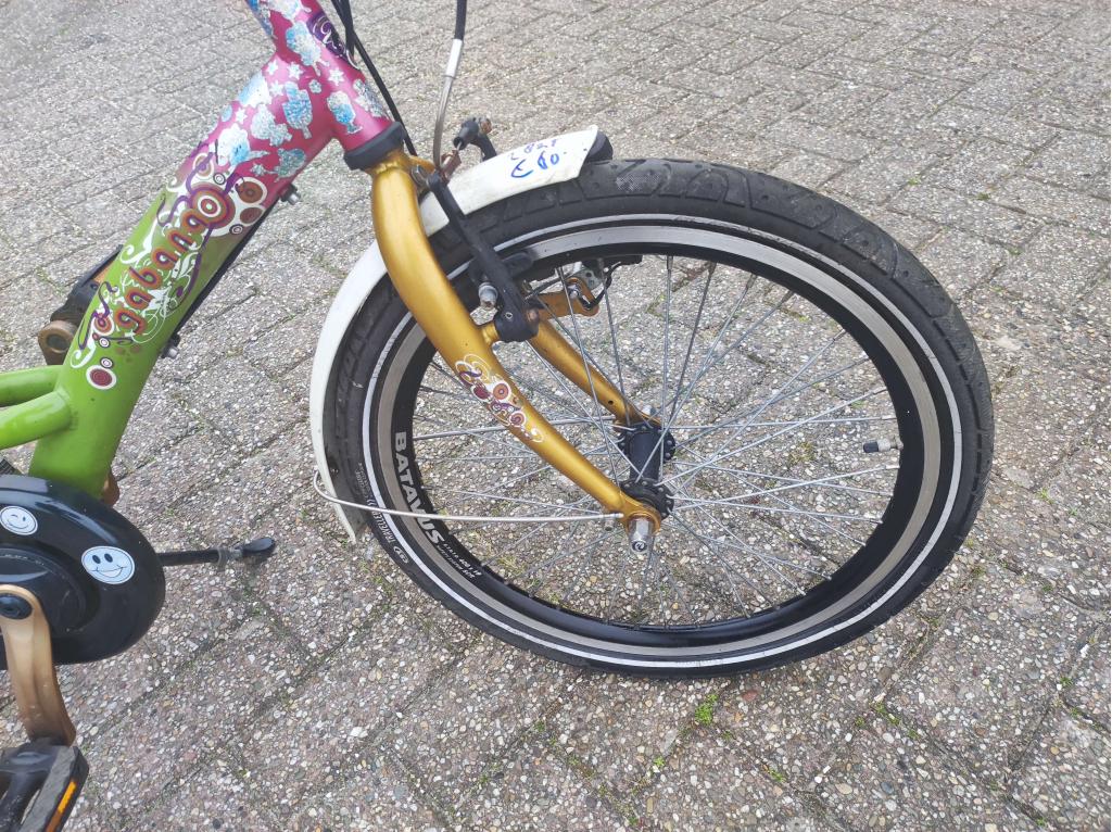 Batavus Gabana meisjes 20 inch, plus nog een 20 inch, Gebruikt, 20 inch, Niet ingevuld, Ophalen