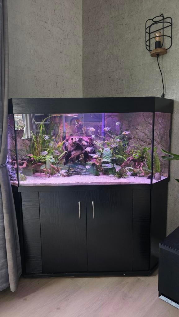 Grote hoek aquarium met bioloog, Ophalen, Leeg aquarium