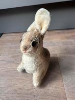 Steiff Haas zonder knopje, Ophalen of Verzenden