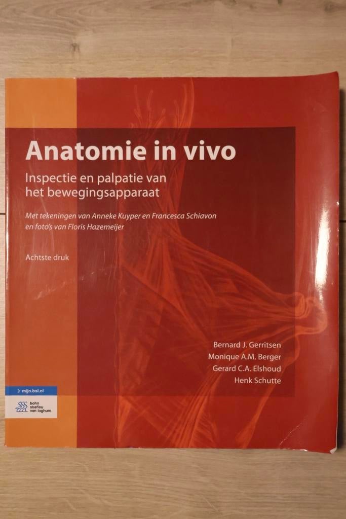 Anatomie in Vivo: Fysiotherapie/Bewegingstechnologie, Ophalen of Verzenden, Beta, Gelezen, HBO
