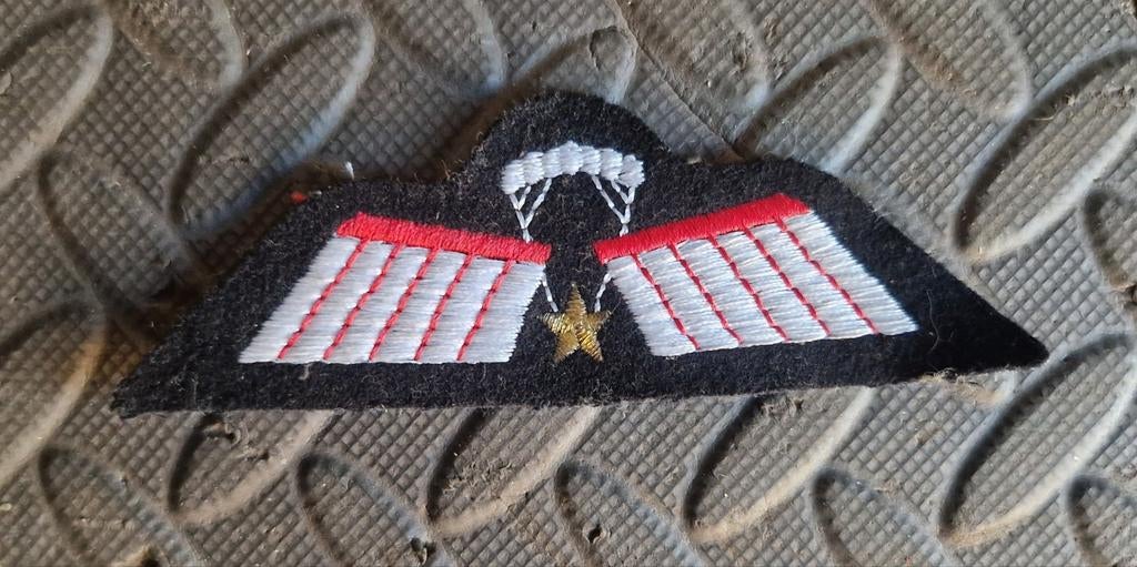 Leger borst embleem KCT Parawing C. DT. valscherm, Verzamelen, Militaria | Algemeen, Ophalen of Verzenden, Landmacht, Nederland