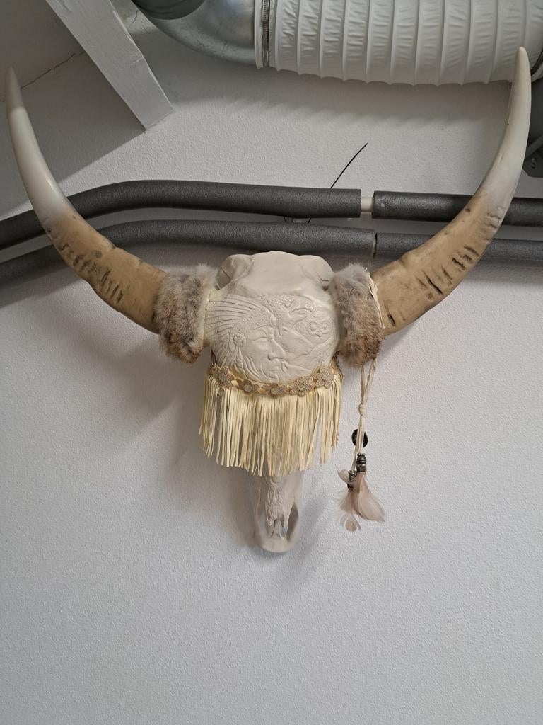 Decoratieve schedel met hoorns en versieringen, Antiek en Kunst, Ophalen