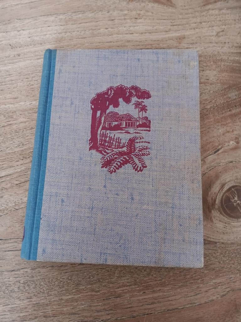 Piet Kramer - Vijf rovers en een rovershol (jongensboek), Ophalen of Verzenden, Gelezen, Piet Kramer, Fictie