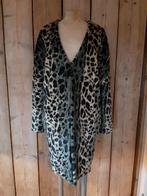 Vest/ Jas Maison Scotch 1/2, Maat 38/40 (M), Zo goed als nieuw, Jasje, Maison Scotch