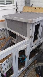 Konijnenhok, Ophalen, Gebruikt, Eekhoorn, 90 cm of meer