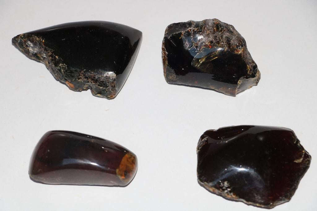 Amber (4 pcs), Ophalen of Verzenden, Fossiel