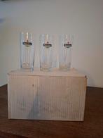 Glazen 12 fluitjes van Heineken 22 cl, Verzamelen, Ophalen, Zo goed als nieuw, Bierglas