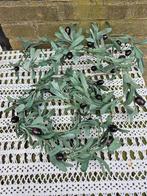 decoratieve olijf strengen, Ophalen of Verzenden, Gebruikt