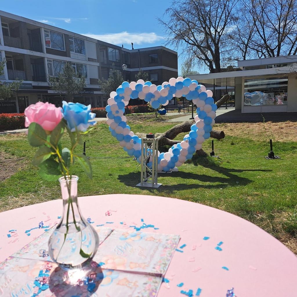 Gender reveal babyshower, Hobby en Vrije tijd, Feestartikelen | Verhuur, Ophalen, Zo goed als nieuw, Geboorte of Huwelijk