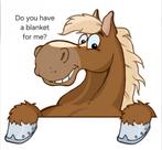 Gezocht: regendeken maat 195 ( omg. Deventer en omstreken), Ophalen