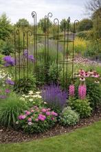 Plantensteunen/ rozenklimrek, Ophalen of Verzenden, Overige soorten, Volle zon