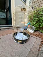 Vogelkooi, Dieren en Toebehoren, Ophalen, Gebruikt, Metaal, Vogelkooi