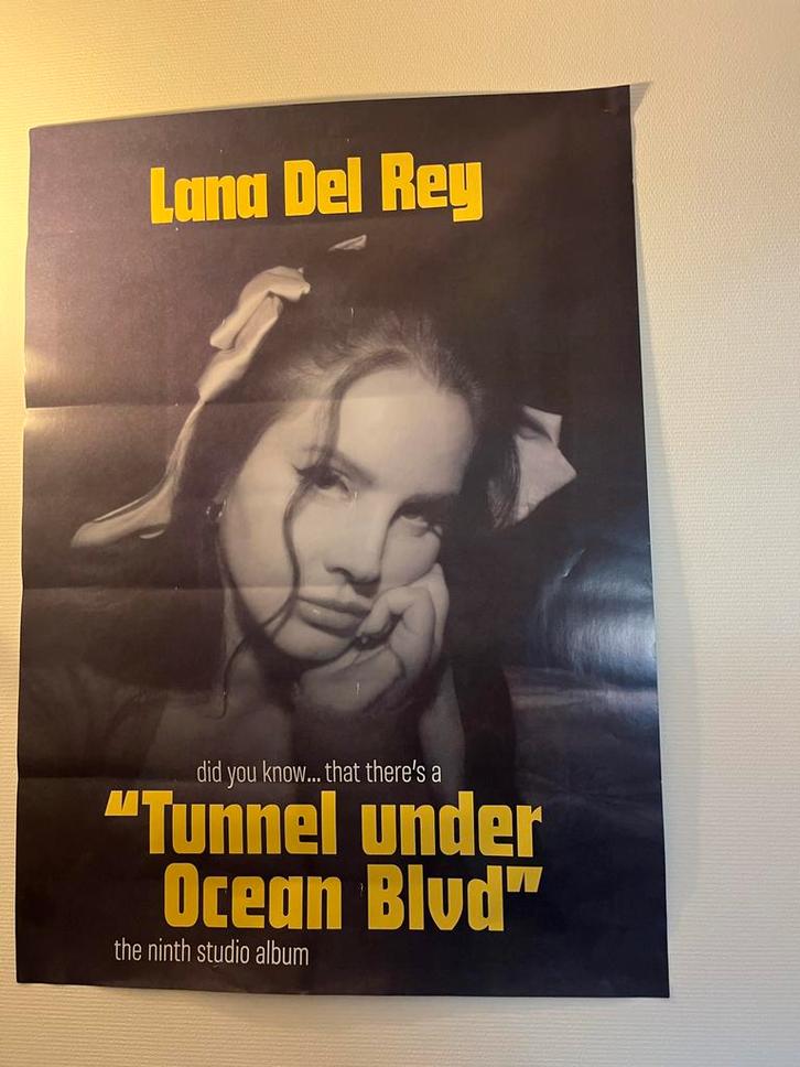 Lana Del Rey "Tunnel Under Ocean Blvd" Poster, Verzamelen, Posters, Zo goed als nieuw, Muziek, A1 t/m A3, Rechthoekig Staand, Ophalen of Verzenden