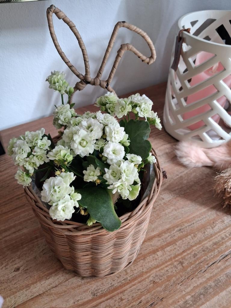 Rattan Riviera Maison Konijnenpotje, Ophalen of Verzenden, Natuurlijk materiaal, Bruin, Landelijk