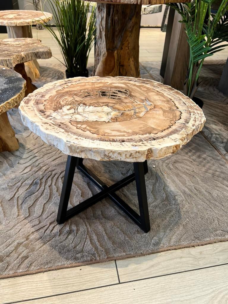prachtige bijzettafel van versteend hout, Ophalen of Verzenden