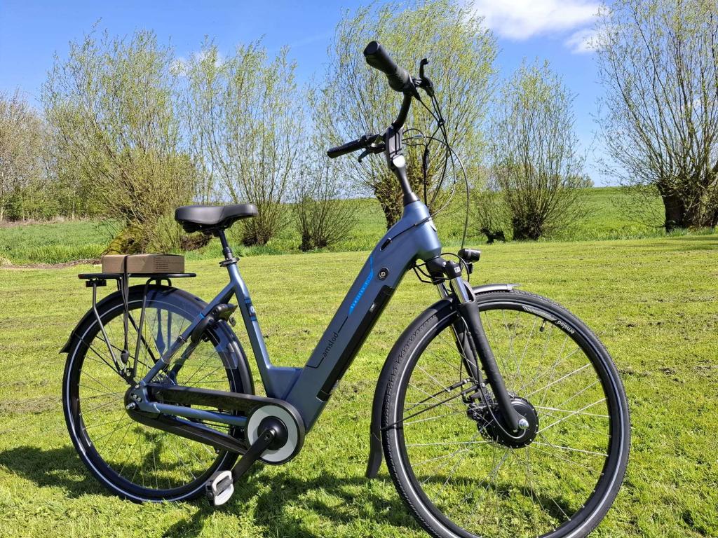 Fietshokje Groningen Amslod Hamilton E-Bike Damesfiets NIEUW