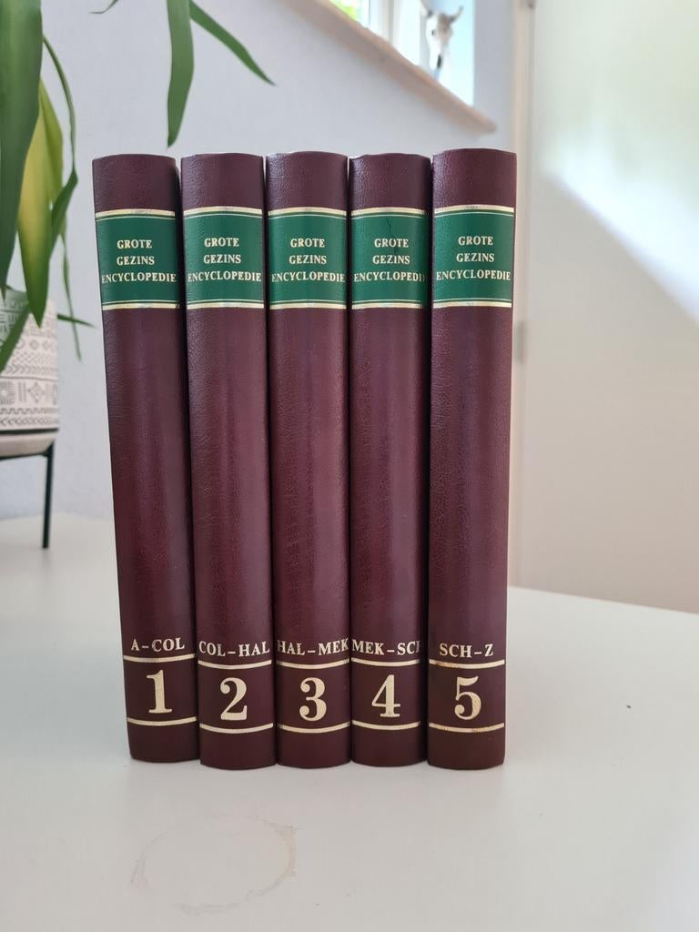 Grote Gezins Encyclopedie - Complete serie, Boeken, Ophalen of Verzenden, Zo goed als nieuw, Algemeen