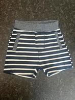 Korte broek 56, Kinderen en Baby's, Babykleding | Maat 56, Ophalen of Verzenden, Zo goed als nieuw, Jongetje, Broekje