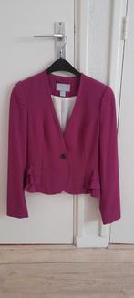 Zgan leuk kort jasje mt.S, Ophalen of Verzenden, Zo goed als nieuw, Maat 36 (S)