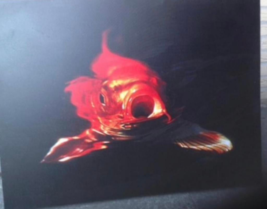 Koi schilderij, Ophalen of Verzenden, Overige typen