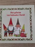 HET GEHEIM VAN KABOUTER DAVID., Boeken, Gelezen, Francien van Oomen, Fictie algemeen, Jongen of Meisje