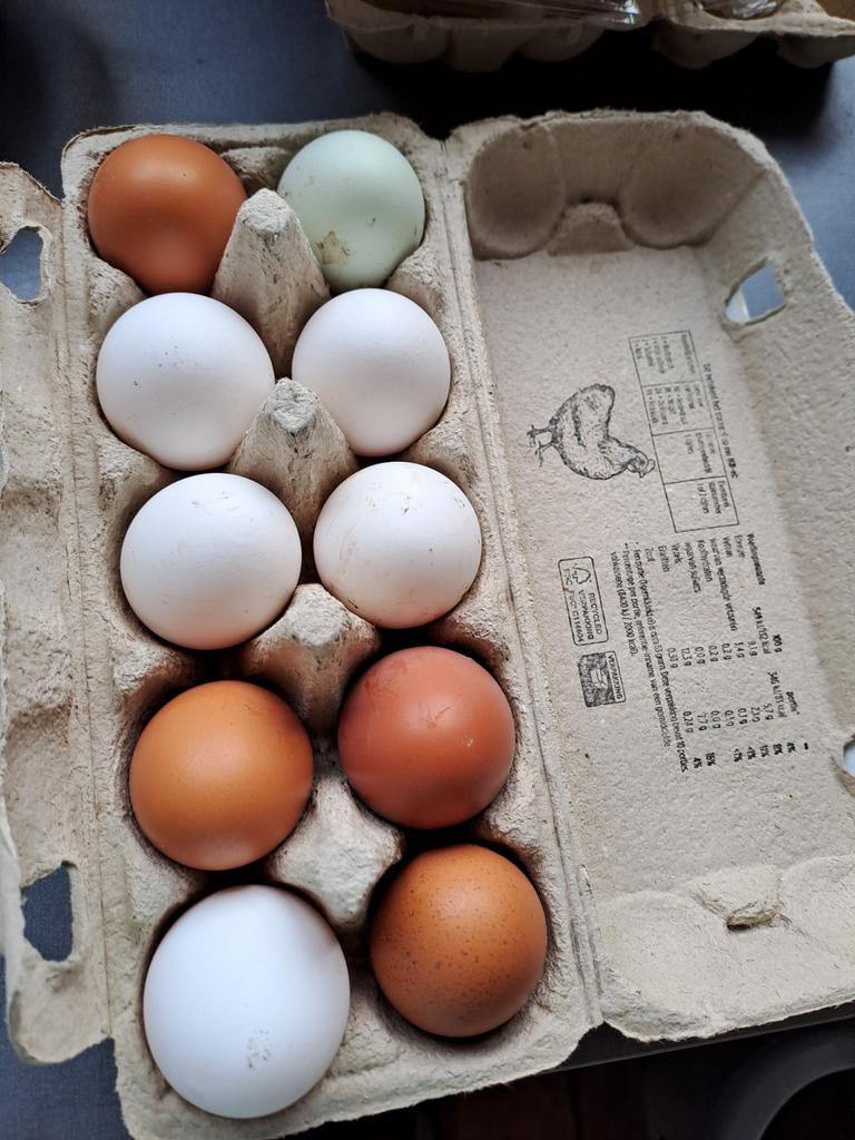 Eieren 10 stuks 2.50, Ophalen, Overige typen
