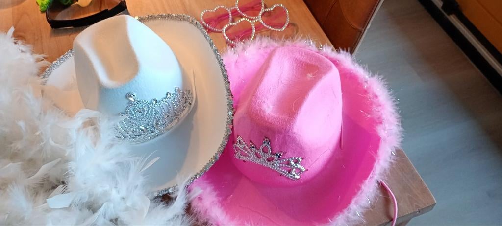 Verkleedkleren: Cowboyhoeden, Boa's en Feestbrillen, Kleding | Dames, Carnavalskleding en Feestkleding, Verzenden, Zo goed als nieuw