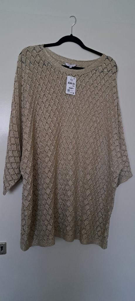 Nieuw open gewerkte trui, Kleding | Dames, Grote Maten, Beige, Trui of Vest, Nieuw, Ophalen of Verzenden