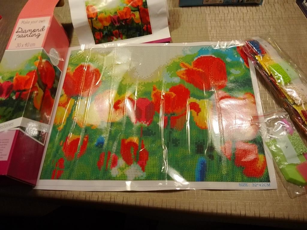 Diamond painting tulpen 30x40 cm, Hobby en Vrije tijd, Ophalen of Verzenden, Zo goed als nieuw, Diamond painting