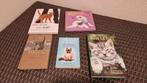 Kattenboeken, Boeken, Ophalen of Verzenden, Gelezen, Katten, Diverse schrijvers