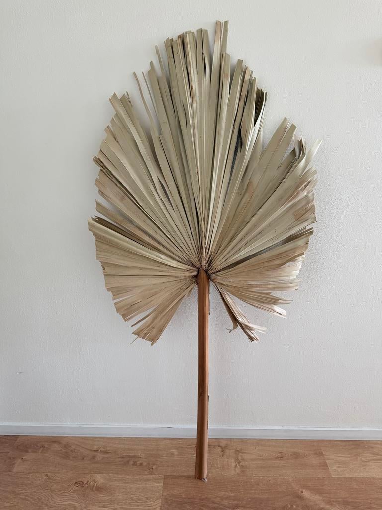Grote decoratieve palmblad - 150cm, Huis en Inrichting, Ophalen, Binnen, Kunstplant, Nieuw