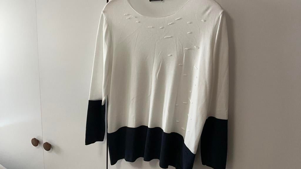 Mooie wit/blauwe zomer trui, Ophalen of Verzenden, Zo goed als nieuw, Maat 46/48 (XL) of groter, Wit