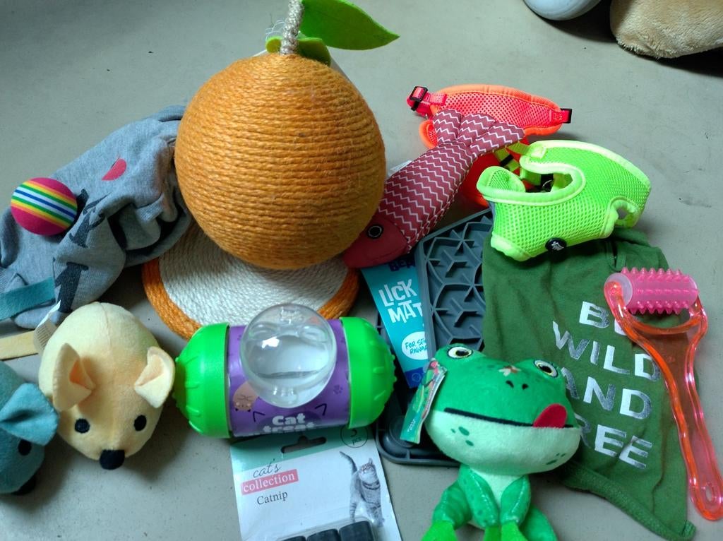 katten speeltjes en zo hele tas vol, Ophalen, Nieuw, Intelligentiespeelgoed