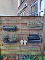 diverse hangbakken, Ophalen, Kunststof, Gebruikt, Minder dan 30 cm