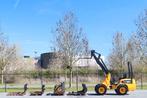 JCB 403 WLS | SHOVEL | 2XVORKEN | SCHUDBAK | PELIKAAN | RIEK, Ophalen, Wiellader of Shovel