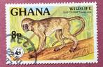 Ghana gestempeld 139 => WWF - WNF - Groene Franje Aap, Verzenden, Gestempeld, Dier of Natuur
