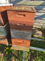 Red cedar bijenkast met glazen dekplaat, Bijen