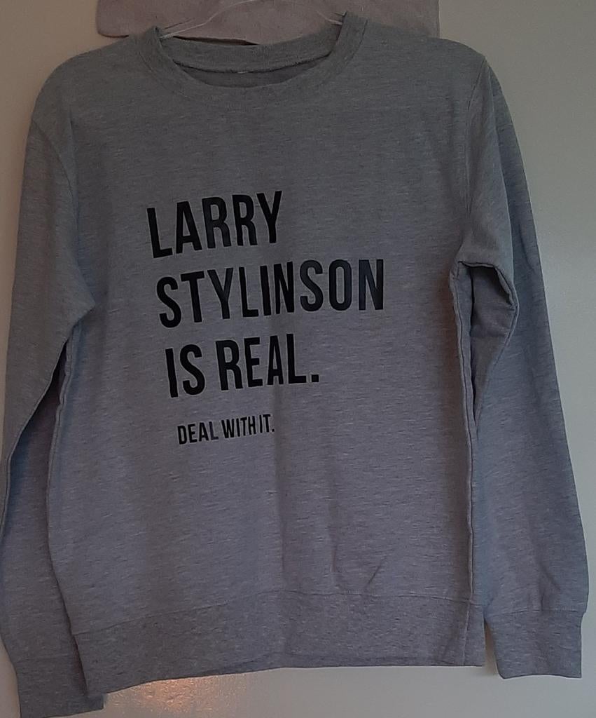 Nieuwe trui maat L - Larry Stylinson is Real, Verzenden