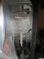 Kweek tent compleet 90x90x200, Ophalen, Kweektent