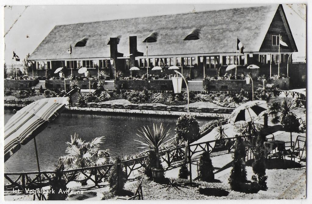 Alphen a.d. Rijn Avifauna - Oude gelopen ansichtkaart B3542, Ophalen of Verzenden, 1960 tot 1980, Gelopen, Zuid-Holland